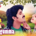 Ramudochadu Gumma Gumma