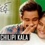 Naalo Chilipi Kala Lover